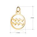 12 chinesische Gold Sternzeichen Halskette Anhänger Schmuck finden, Edelstahl Sternzeichen Münze Anhänger Charm Set 12 Stück pro Set